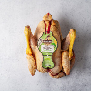 Pollo Bio