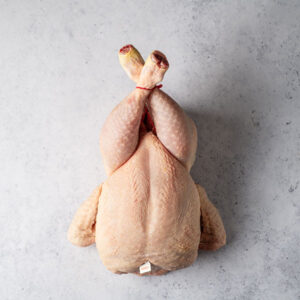 Pollo Blanco