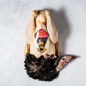 Pava Negra de Bresse