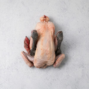 Pollo de Pata Azul